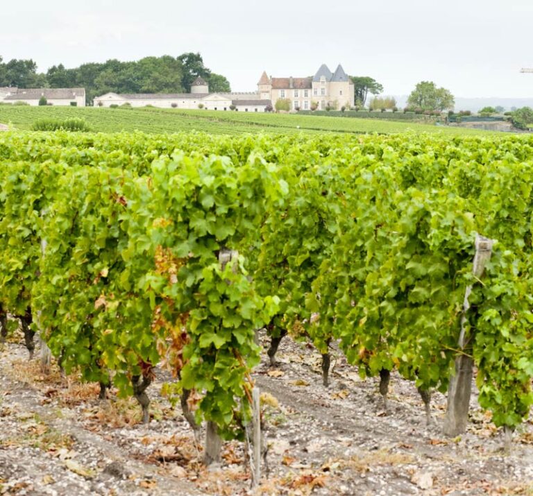 Château d’Yquem